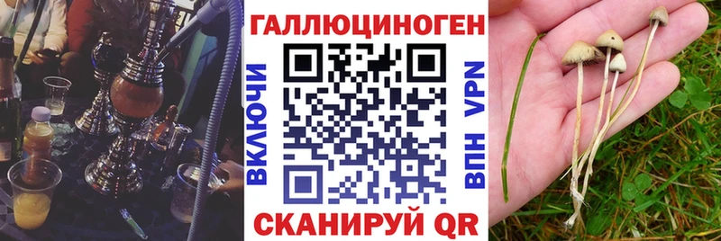 Галлюциногенные грибы Psilocybine cubensis  где можно купить наркотик  shop как зайти  Алдан 